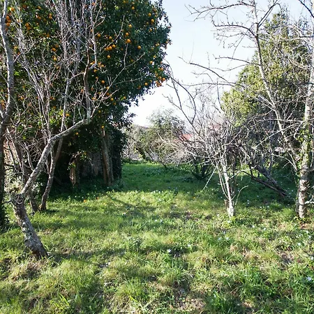 104226 House In Apartamento Carnota